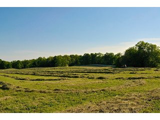 Property photo 74 - LAND AUCTION - 604+/- ACRES OFFERED IN 24 TRACTS IN MORGAN COUNTY, INDIANA